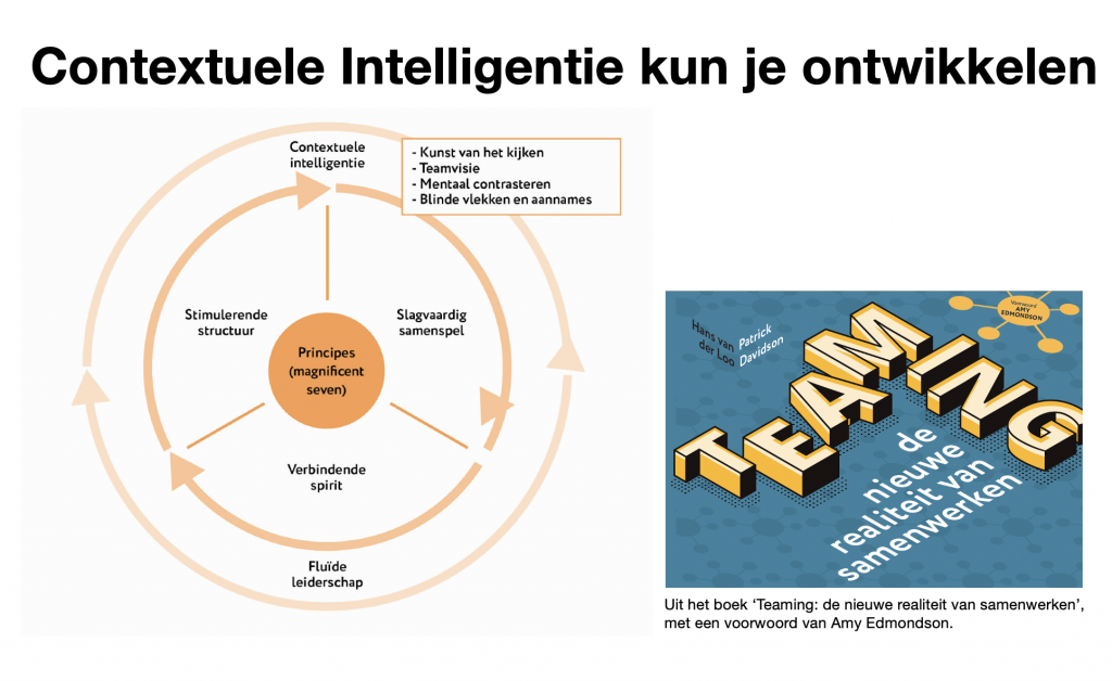 Contextuele Intelligentie - Teaming - Davidson - Van der Loo