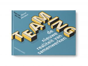 Teaming, de nieuwe realiteit van samenwerken - Boek Patrick Davidson en Hans van der Loo
