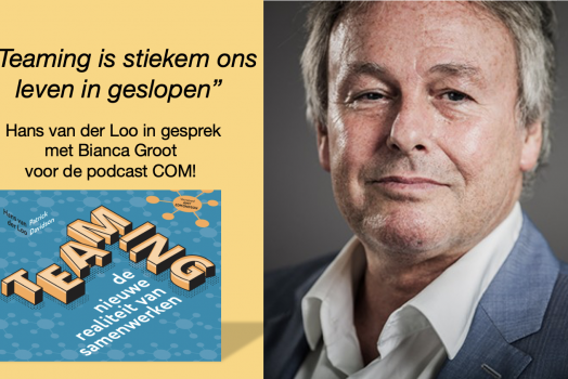 Podcast over teaming met Hans van der Loo
