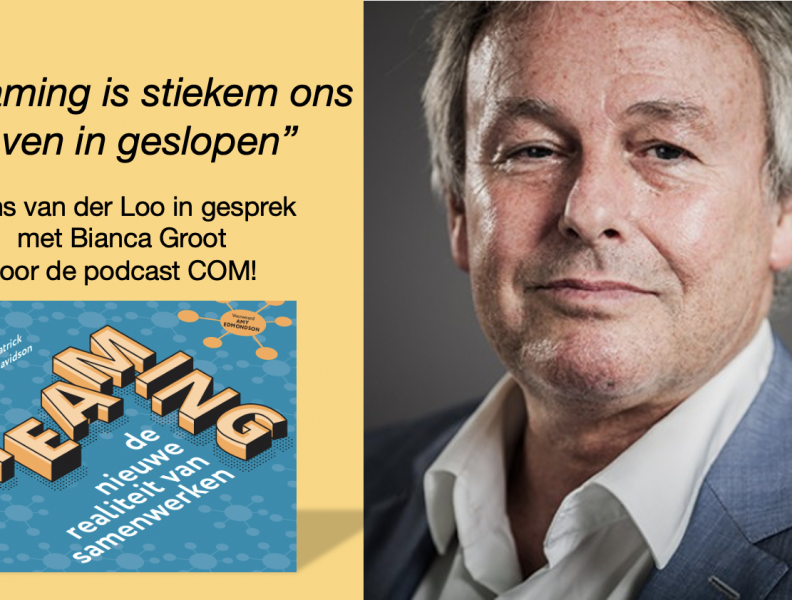 Podcast over teaming met Hans van der Loo