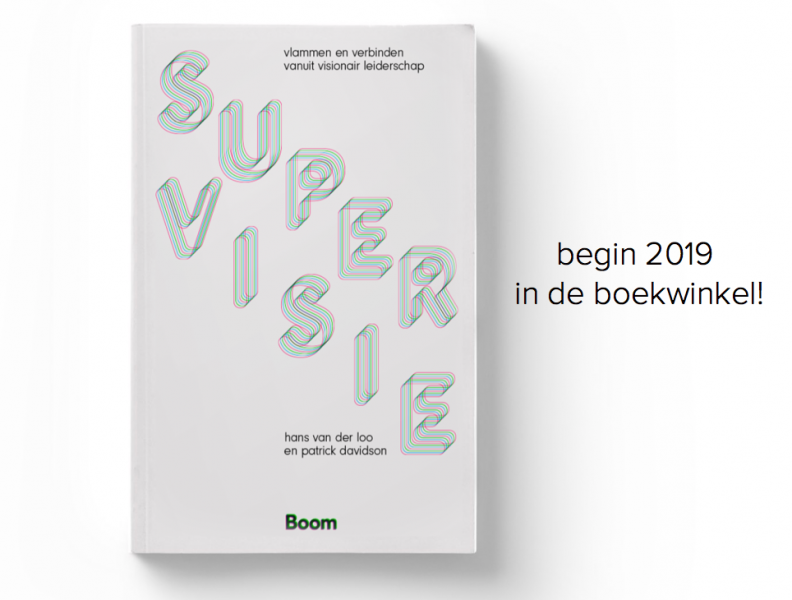 Over SuperVISIE (in de boekhandel in 2020)